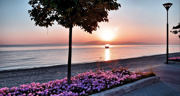 polychrono-sunrise-beach-promenade-flowers